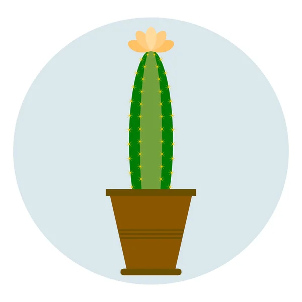 Cactus en pot de fleurs — Image vectorielle