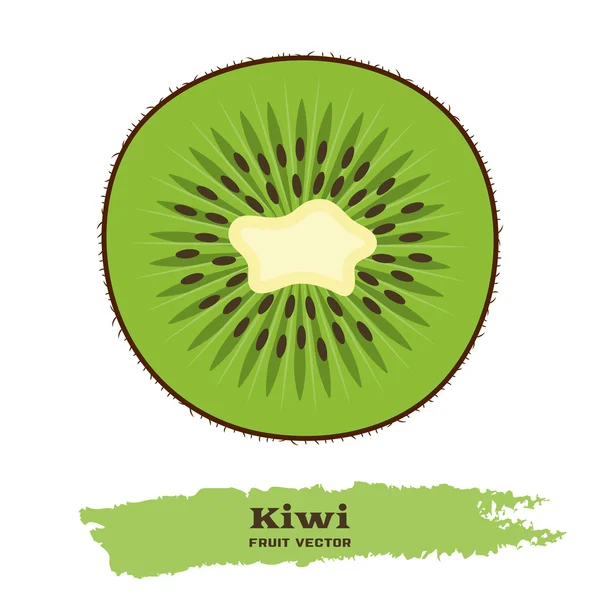 Kiwi vert frais — Image vectorielle