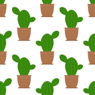 Kaktüs resimde arka plan