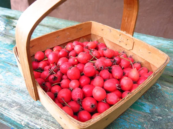 Red Berries Hawthorn Wicker Basket — Stock Photo, Image