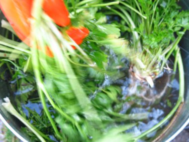 Turuncu eldivenli adam kovada maydanoz topluyor.