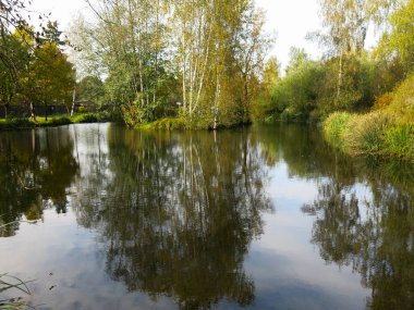Sonbaharda sakin sularla dolu küçük bir gölet.