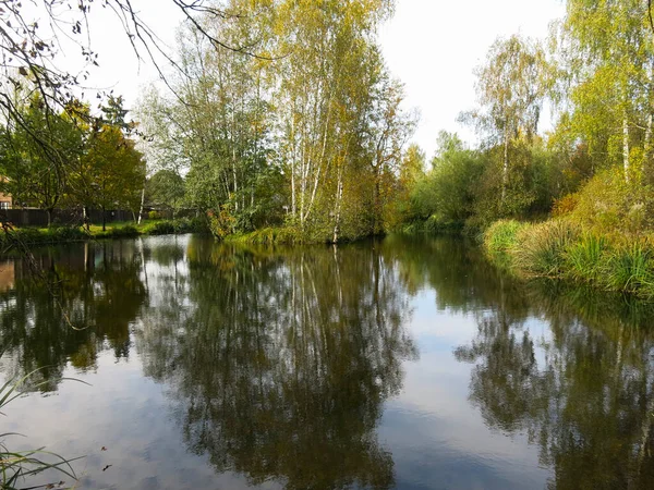 Petit Étang Rural Automne Avec Eau Calme — Photo