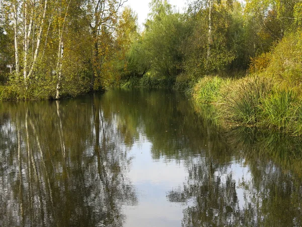 Сільський Маленький Ставок Восени Тихою Водою — стокове фото