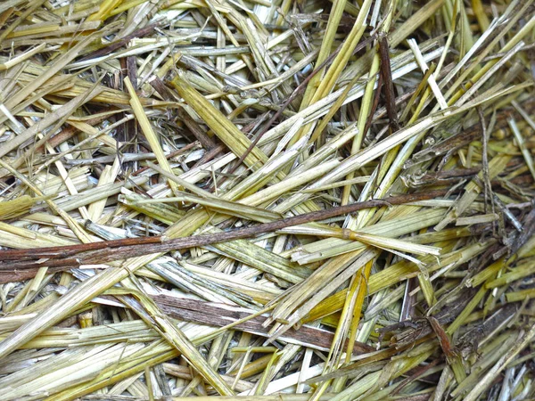 Straw Bales Rustic Texture Natural Products — Stock Photo, Image