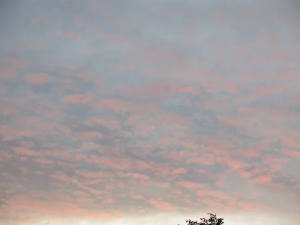 Нежные Розово Голубые Облака Освещенные Закатом Солнца — стоковое фото