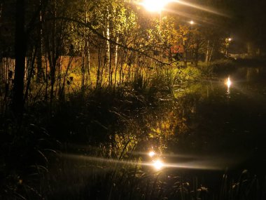 Fenerlerin ışığında bir sonbahar gecesinde gölet