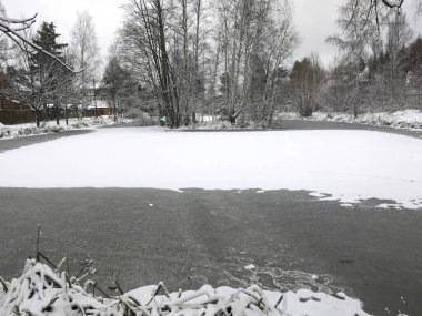 Kışın buzlu ve çimenli donmuş bir göletin kıyısında
