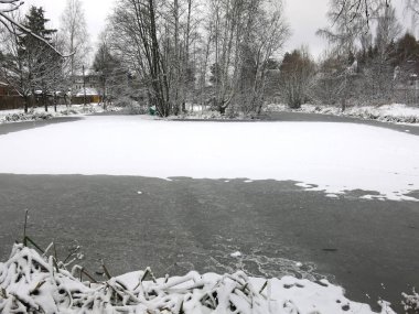 Kışın buzlu ve çimenli donmuş bir göletin kıyısında