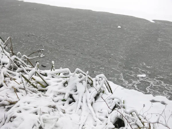 Берег Замёрзшего Пруда Зимой Льдом Травой — стоковое фото