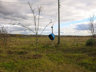 Yalnız, mavi bir telefon kulübesi bir tarlada duruyor.