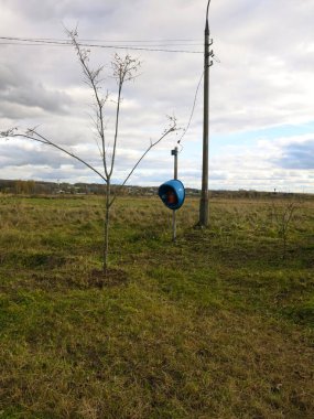 Yalnız, mavi bir telefon kulübesi bir tarlada duruyor.