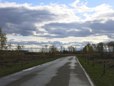 İlçede sonbaharda nemli bir yüzeyi olan asfalt yol