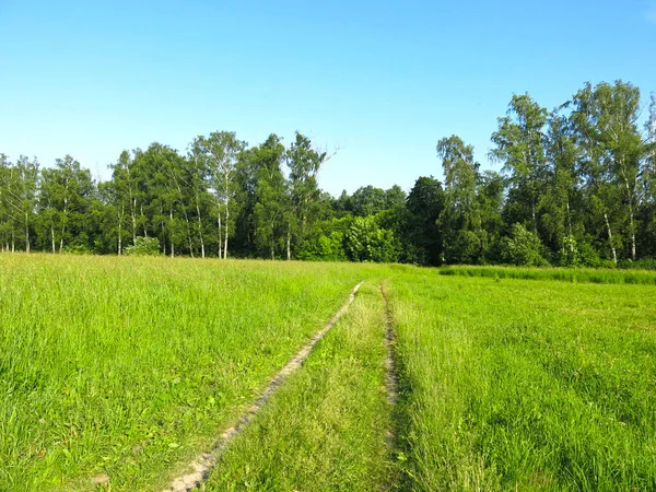 Rural Road Field Summer — Stock Photo, Image