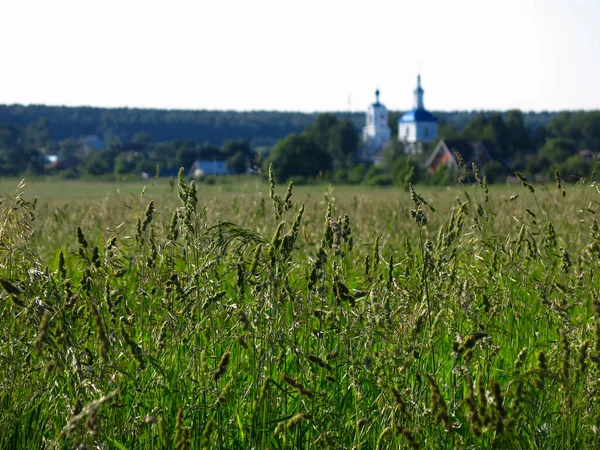 Ρωσικό Πεδίο Καλοκαίρι Μια Εκκλησία Στο Παρασκήνιο — Φωτογραφία Αρχείου