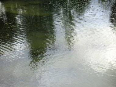 Sonbaharda kırsal bir gölette, ağaçların yansımalarıyla birlikte soğuk su.
