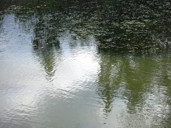 秋の田舎の池の冷たい水は木の反射で — ストック写真