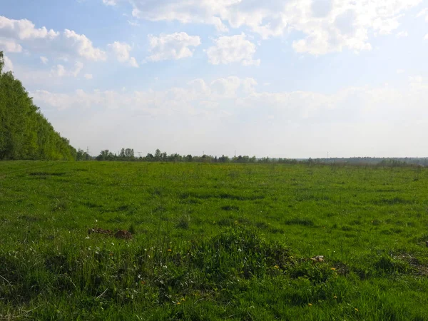 Rozloha Ruského Pole Začátku Jara Vysokou Oblohou Bujnou Trávou — Stock fotografie