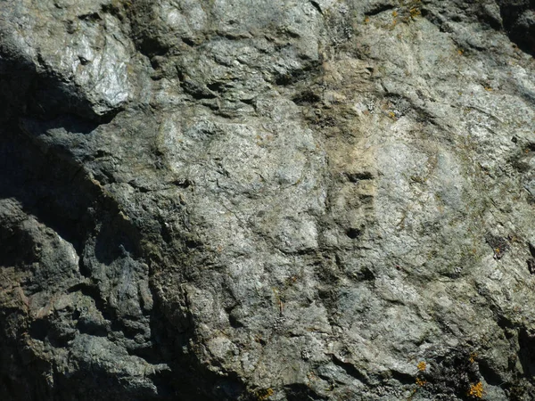 Gri Doğal Taş Parke Taşı Dokusu — Stok fotoğraf