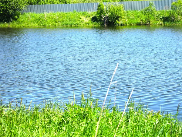 絵のように美しい夏の田舎の池には — ストック写真