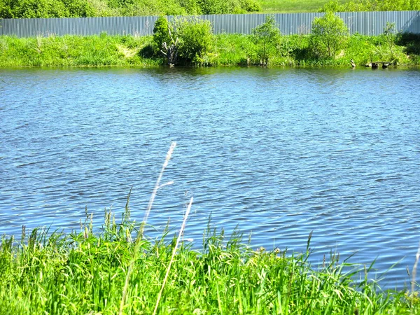 絵のように美しい夏の田舎の池には — ストック写真