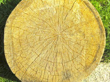 Kır tarzında oturmak ya da dekore etmek için tahta kütükler