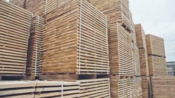 Stockage de bois près de l'usine. Enregistrement vidéo RAW . — Video