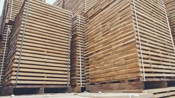Cut lumber is stacked outdoor ar sawmill. RAW video record. — Stock Video