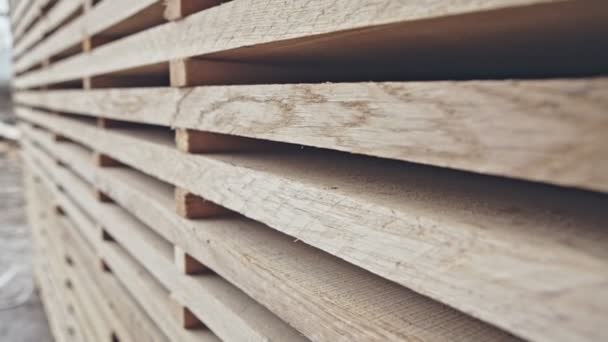 Stacked wood pine timber for furniture production and construction. RAW video record. — Stock Video