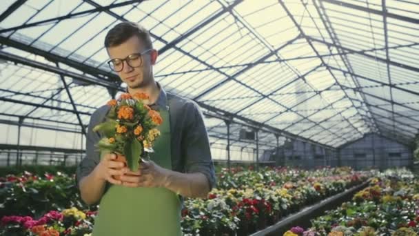 Glad ung trädgårdsmästare arbetar vid växthuset. Han är ständiga och hålla blomkruka. Mannen ser på det med beundran. Han ler. Slow motion. — Stockvideo