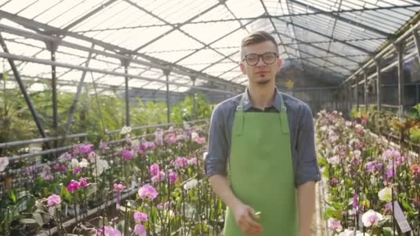 Jistý člověk zahradník v brýlích, stojí ve skleníku s rukama zkříženýma. Zpomalený pohyb. — Stock video