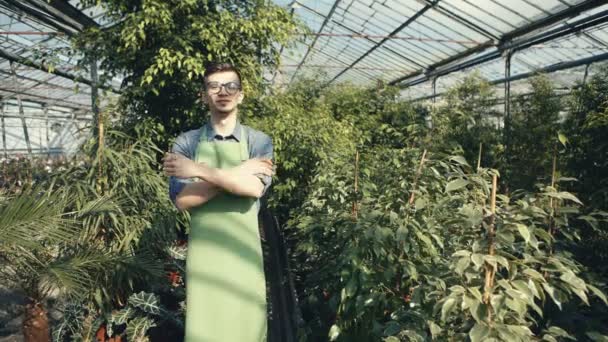 Jardineiro em estufa com braços cruzados — Vídeo de Stock