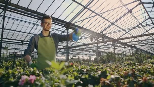 Florist watering in greenhouse — Stock Video