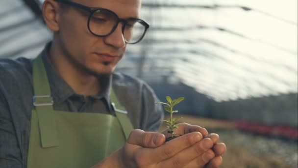 Jardinero sosteniendo la planta en las manos — Vídeos de Stock