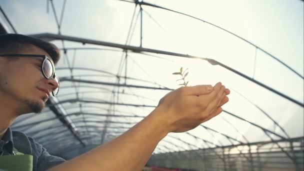 Jardinero sosteniendo la planta en las manos — Vídeos de Stock