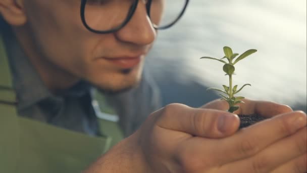 Gardener holding plant in hands — Stock Video