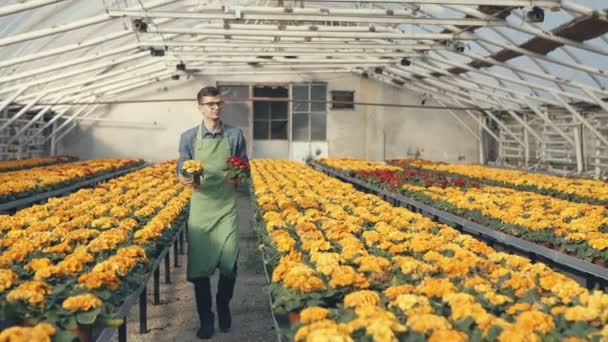 Jardinero mostrando plantas en manchas — Vídeo de stock