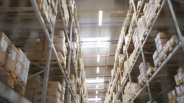 Rows of shelves with boxes in factory warehouse. RAW video record. — Stock Video