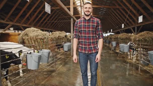 L'agricoltore sta lavorando alla fattoria con i vitelli. Registrazione video RAW . — Video Stock