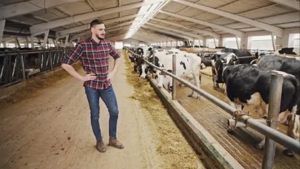 Vue d'un jeune fermier attrayant dans une grange avec des vaches. Enregistrement vidéo RAW . — Video