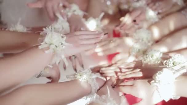 Close-up van vele handen meisjes bruidsmeisje bruid met corsages op zijn handen. — Stockvideo