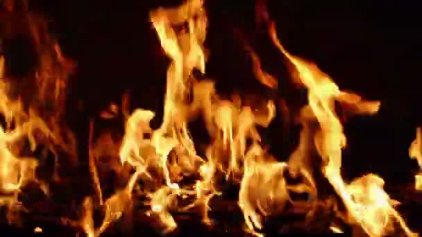 Fire flames. Close up. RAW video record. — Stock Video