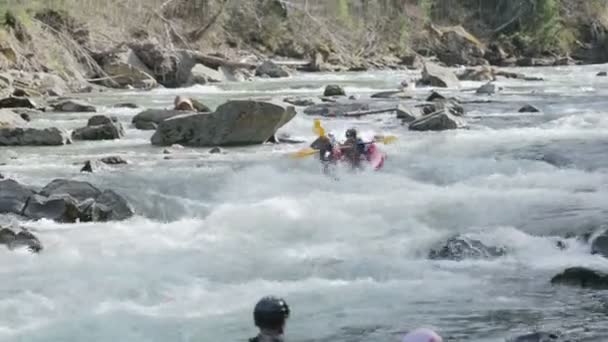 The rafting of the leading sport team — Stock Video