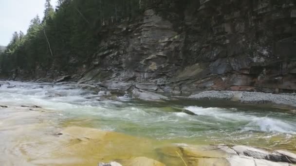 Paisagem idílica. Cursos superiores de quedas - rio pequeno de dentição rápido bastante estreito entre prados de montanha verdes. Yaremche, Cárpatos, Ucrânia . — Vídeo de Stock