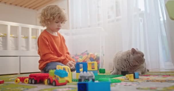 Küçük kıvırcık sarışın çocuk, bir çocuk odasında bir kediyle birlikte zenci bir inşaatçıyla oynuyor. — Stok video