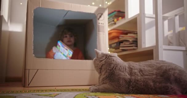 Niño jugando en cartón TV cerca de gato — Vídeos de Stock