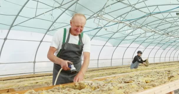 Starší mužský dělník nebo farmář na hlemýždí farmě, který namáčí pytle šneků, aby je udržel naživu a čerstvé pro trh v tunelu nebo kůlně — Stock video
