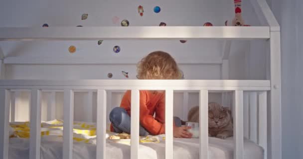 Anonymní chlapec nabízející mléko kočce na posteli — Stock video
