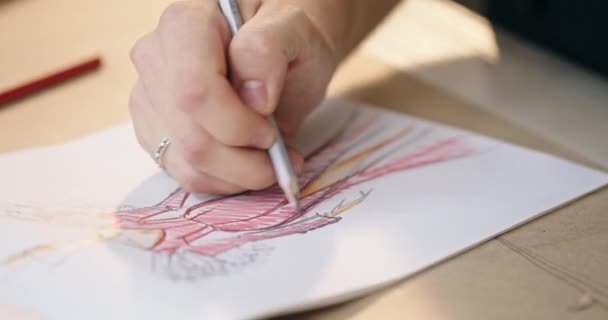 Diseñador dibuja traje de mujer en cuaderno de bocetos con lápiz — Vídeos de Stock
