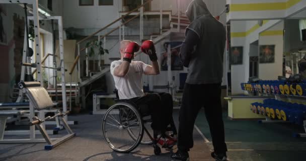 Boxen mit einem Trainer in Boxhandschuhen ist anstrengend Training in der Sporthalle behinderter Sportler Boxer mit defekten Beinen sitzt im Rollstuhl — Stockvideo